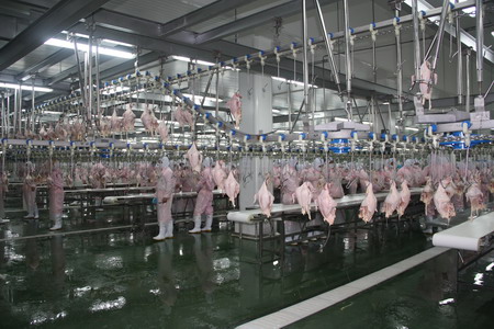 ÌÚ²©¹ÙÍø-³ÏÐÅΪ±¾,רҵ·þÎñ!