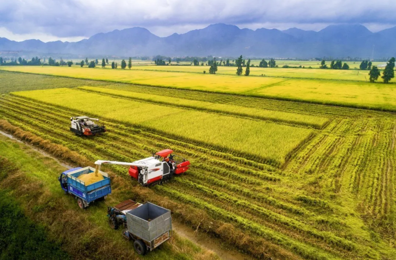 ÌÚ²©¹ÙÍø-³ÏÐÅΪ±¾,רҵ·þÎñ!