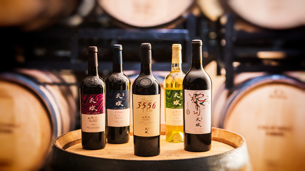 腾博官网-诚信为本,专业服务!